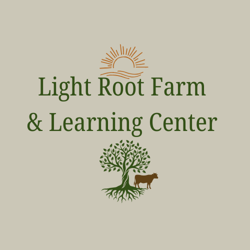 Summer Camp 2026 - logo